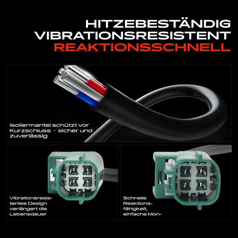 Frankberg Lambdasonde