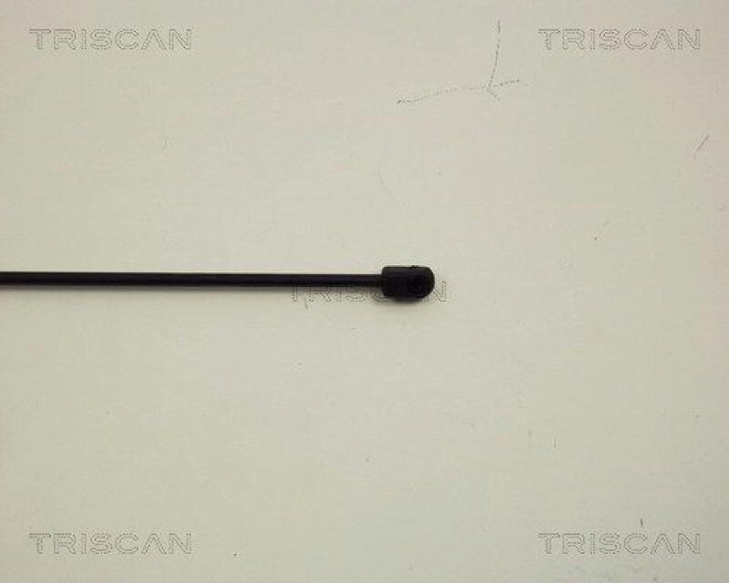 TRISCAN Gas Spring, bonnet