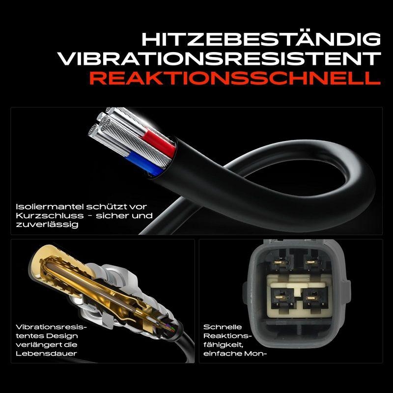 Frankberg Lambdasonde