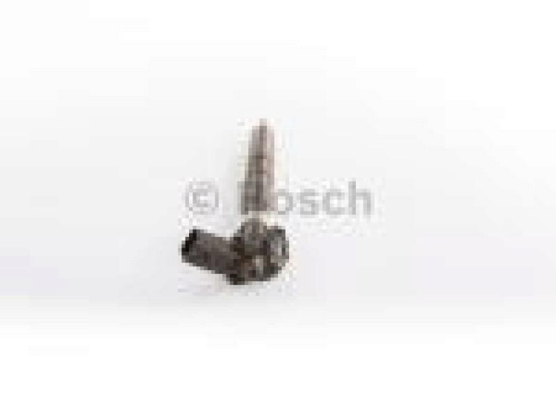BOSCH Injector Nozzle