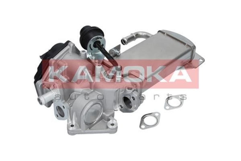 KAMOKA EGR Module
