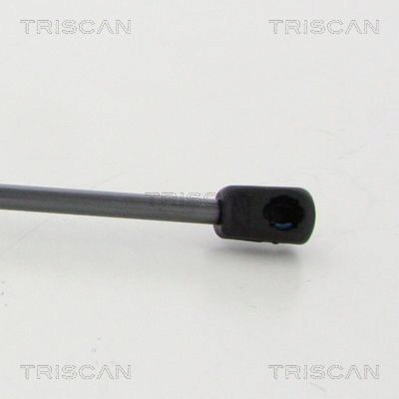 TRISCAN Gas Spring, boot-/cargo area