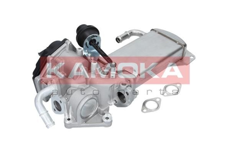 KAMOKA EGR Module