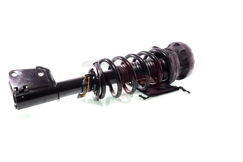 Komplett Sto&szlig;d&auml;mpfer Federbein Satz Vorne links rechts passend f&u...