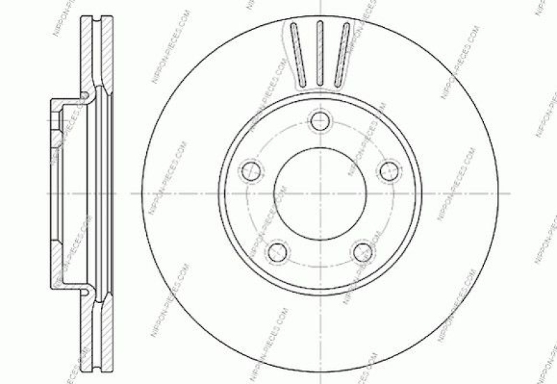 2x NPS Brake Disc