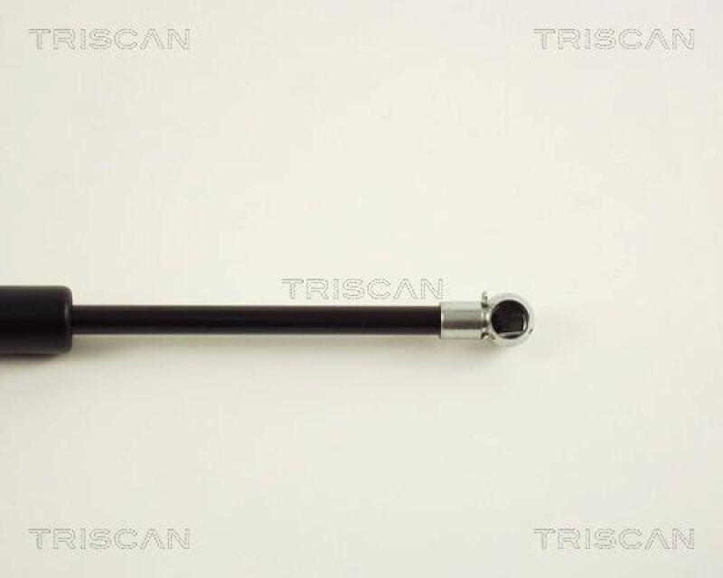 TRISCAN Gas Spring, boot-/cargo area