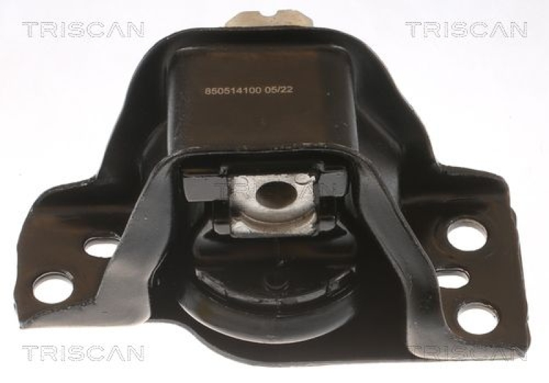 TRISCAN Mounting, engine