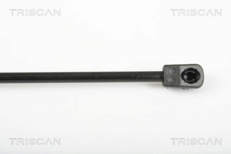 TRISCAN Gas Spring, boot-/cargo area