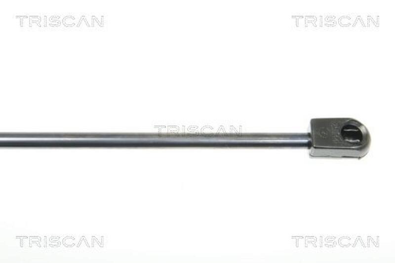 TRISCAN Gas Spring, boot-/cargo area