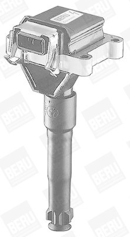 BorgWarner (BERU) Ignition Coil