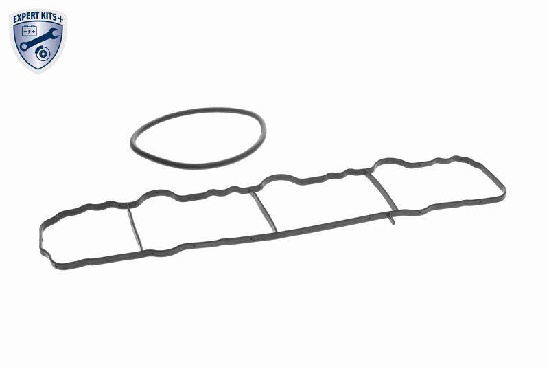 VAICO Intake Manifold Module EXPERT KITS +