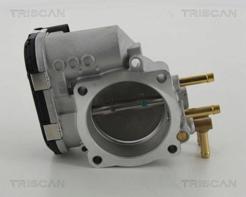 TRISCAN Throttle body