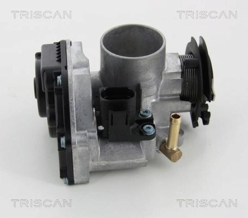 TRISCAN Throttle body