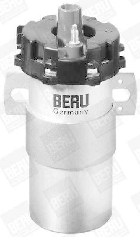 BorgWarner (BERU) Ignition Coil