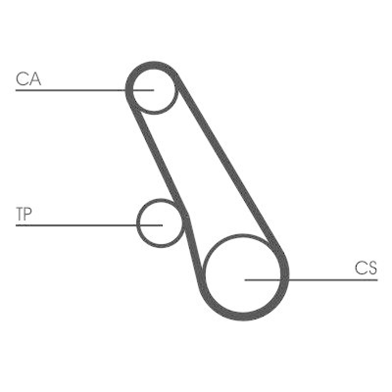 CONTITECH Timing Belt