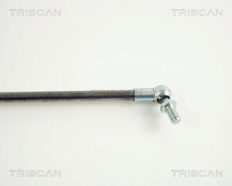 TRISCAN Gas Spring, boot-/cargo area