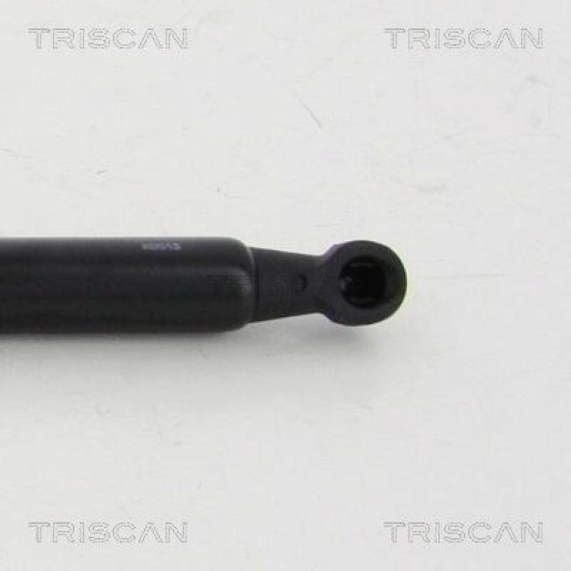 TRISCAN Gas Spring, boot-/cargo area