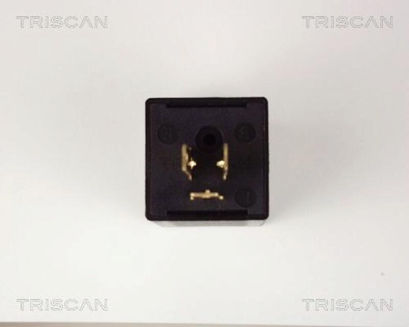 TRISCAN Flasher Unit