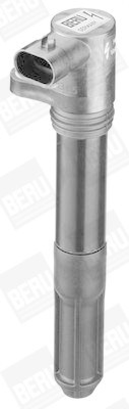 BorgWarner (BERU) Ignition Coil