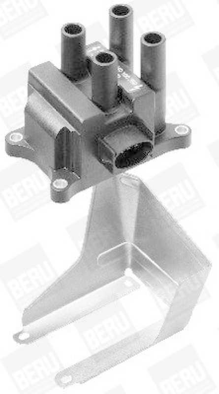 BorgWarner (BERU) Ignition Coil