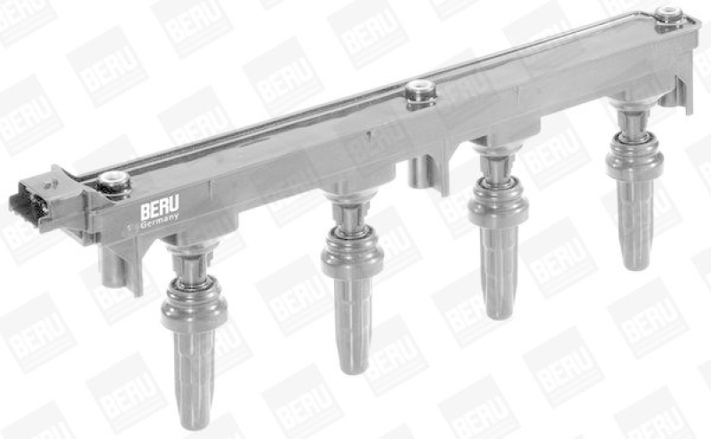 BorgWarner (BERU) Ignition Coil