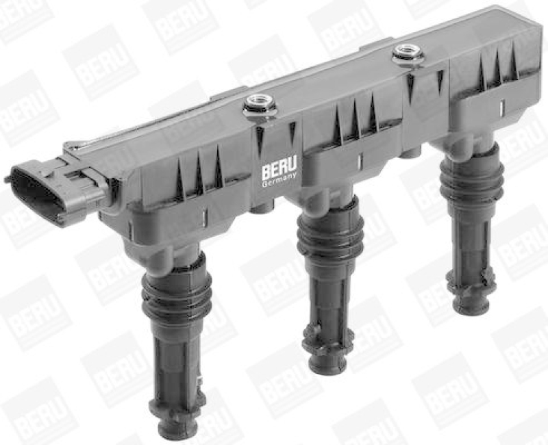 BorgWarner (BERU) Ignition Coil