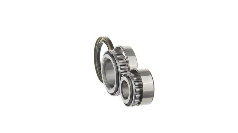 SKF Radlagersatz