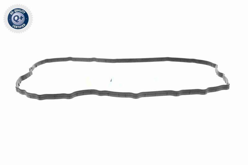 VAICO Dichtung, Ölwanne-Automatikgetriebe Q+, Erstausrüsterqualit&a...