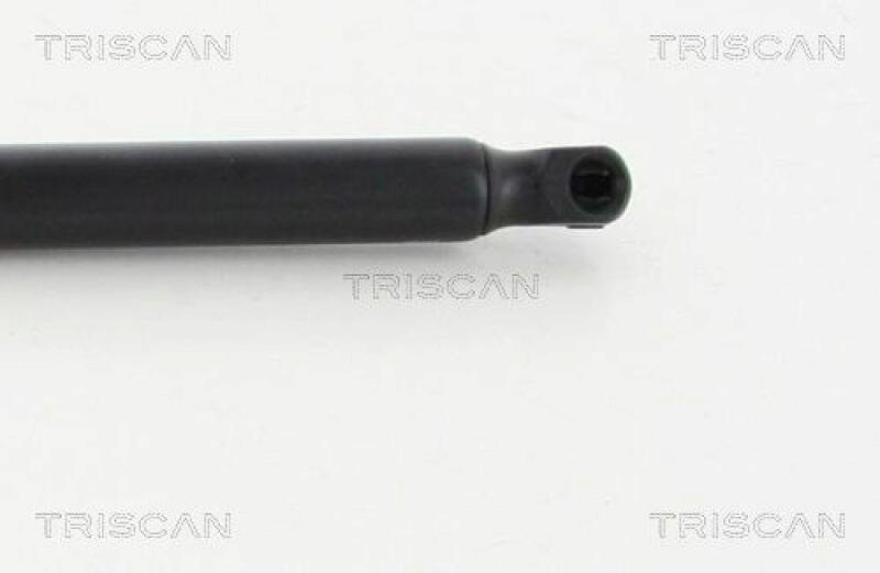 TRISCAN Gasfeder, Koffer-/Laderaum