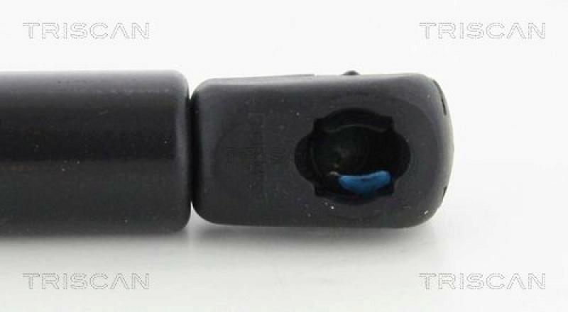 TRISCAN Gas Spring, boot-/cargo area