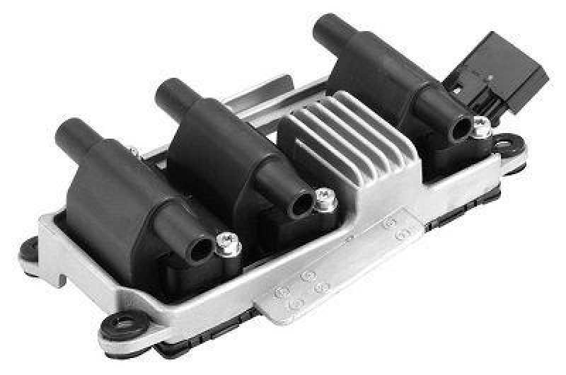 BorgWarner (BERU) Ignition Coil