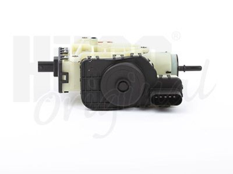 HITACHI Delivery Module, urea injection Hueco