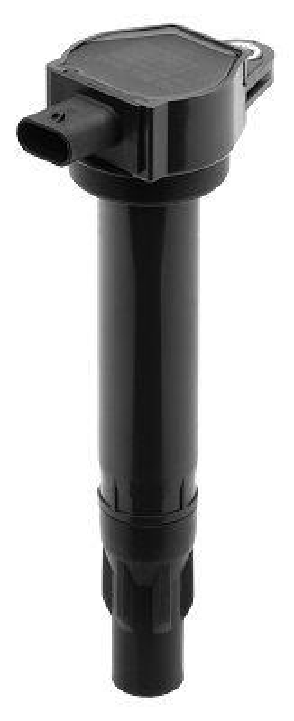 BorgWarner (BERU) Ignition Coil