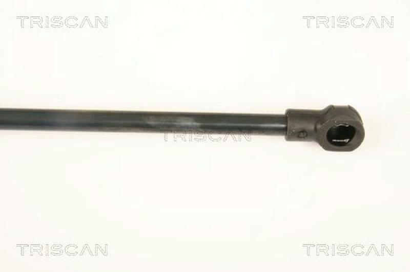 TRISCAN Gas Spring, rear windscreen