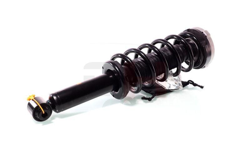 Komplett Sto&szlig;d&auml;mpfer Federbein Satz Hinten links rechts passend f&...