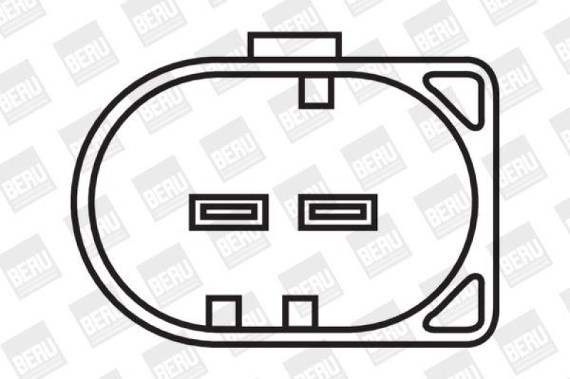 BorgWarner (BERU) Ignition Coil