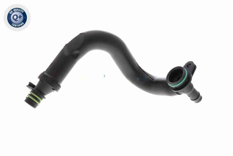 VAICO Ventil, Kurbelgehäuseentlüftung Green Mobility Parts