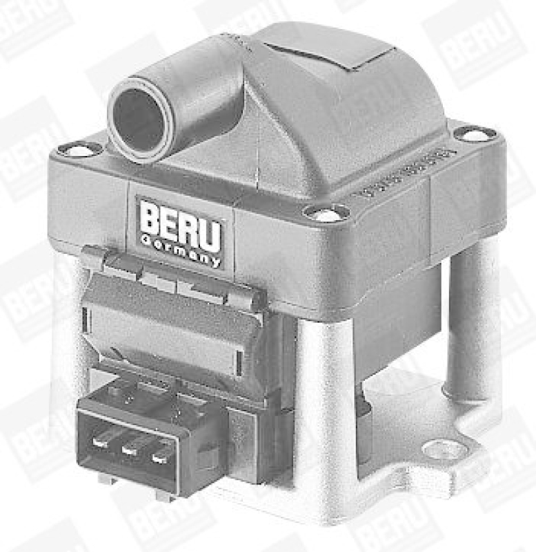 BorgWarner (BERU) Ignition Coil