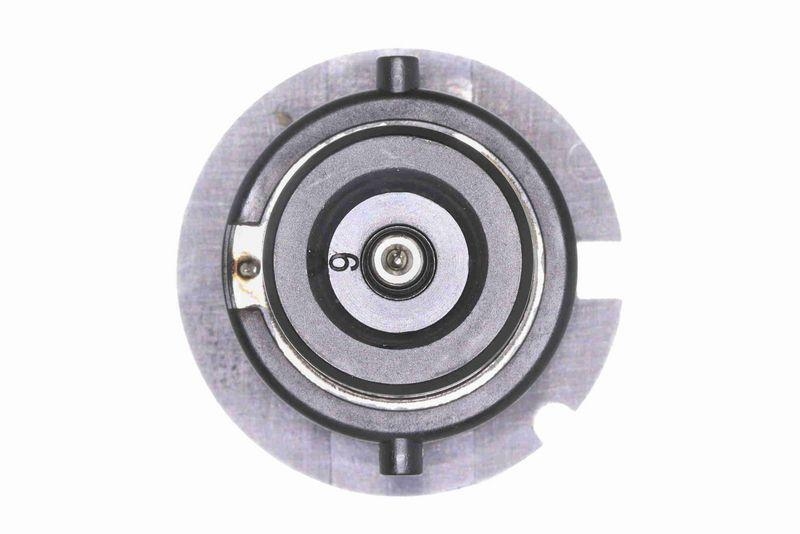 VEMO Bulb Original VEMO Quality