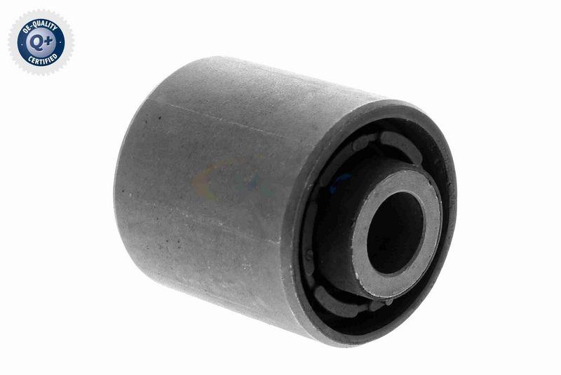 VAICO Retaining Spring Original VAICO Quality