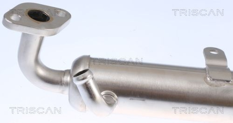 TRISCAN K&uuml;hler, Abgasr&uuml;ckf&uuml;hrung 8813 24106