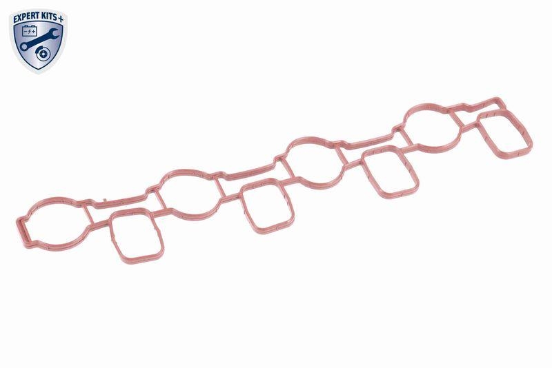 VAICO Saugrohrmodul EXPERT KITS u.a. passend f&uuml;r VW PASSAT B6 Variant 3C...