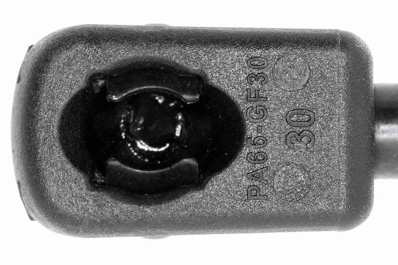 VAICO Gas Spring, boot-/cargo area Original VAICO Quality