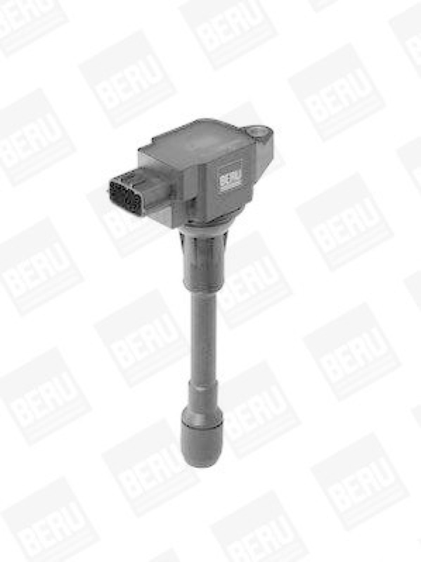 BorgWarner (BERU) Ignition Coil