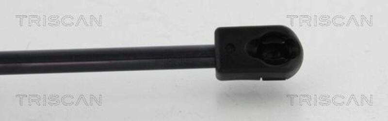 TRISCAN Gas Spring, boot-/cargo area