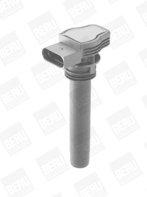 BorgWarner (BERU) Ignition Coil