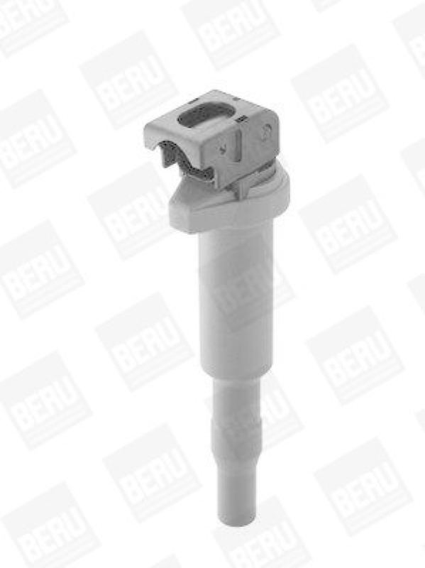BorgWarner (BERU) Ignition Coil