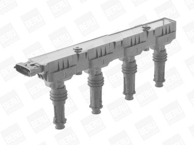 BorgWarner (BERU) Ignition Coil