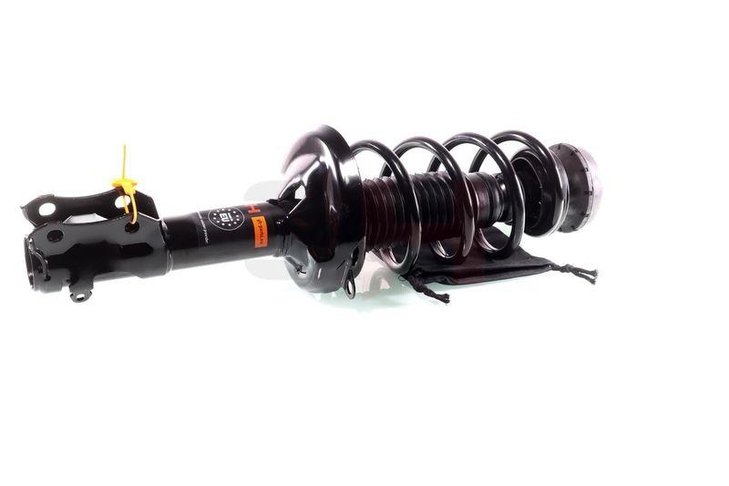 Komplett Sto&szlig;d&auml;mpfer Federbein Satz Vorne links rechts passend f&u...