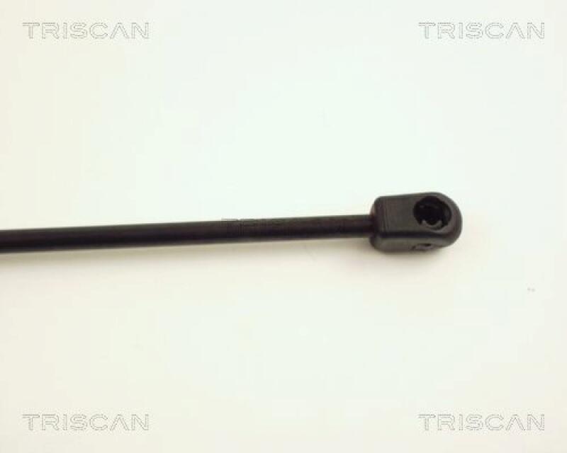 TRISCAN Gas Spring, boot-/cargo area